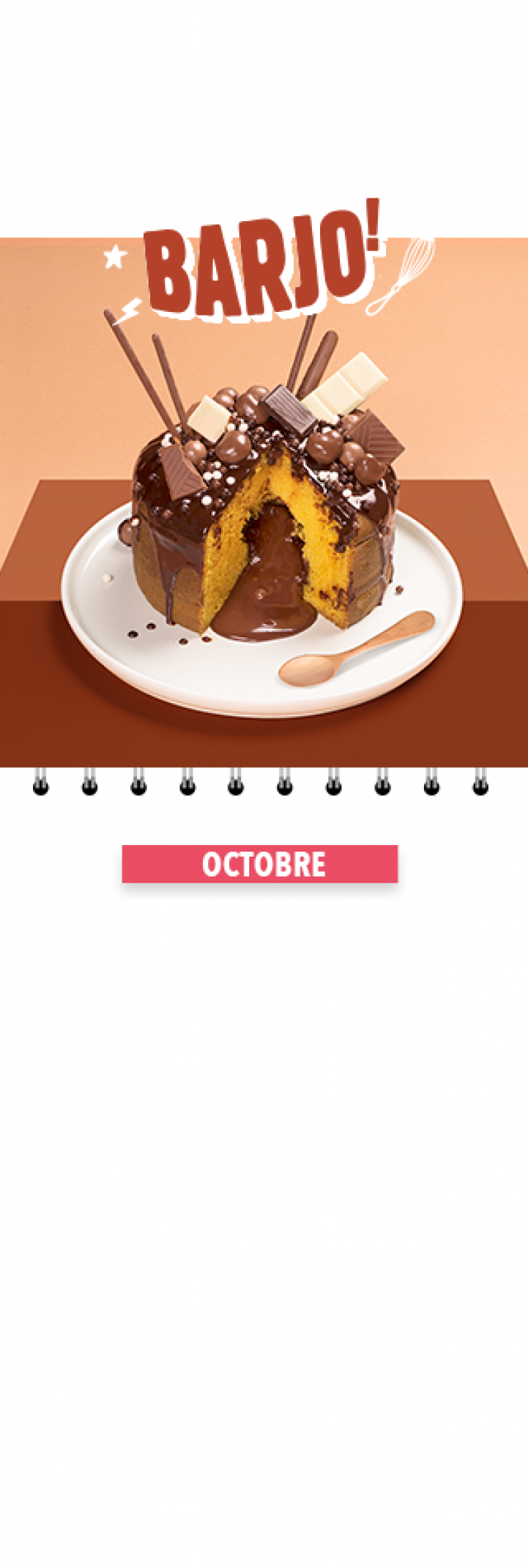 gateau_potiron_choco_mobile.png